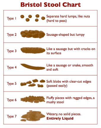 bristol stool chart constipation