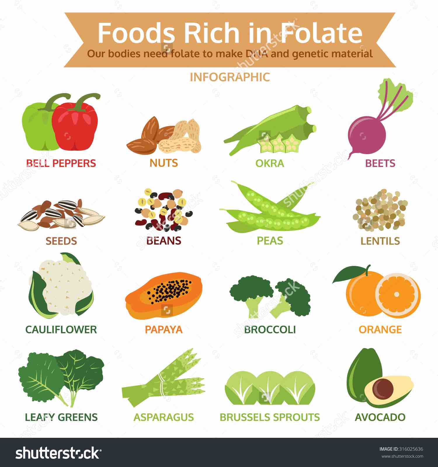 Folate Rich Foods Chart 0788